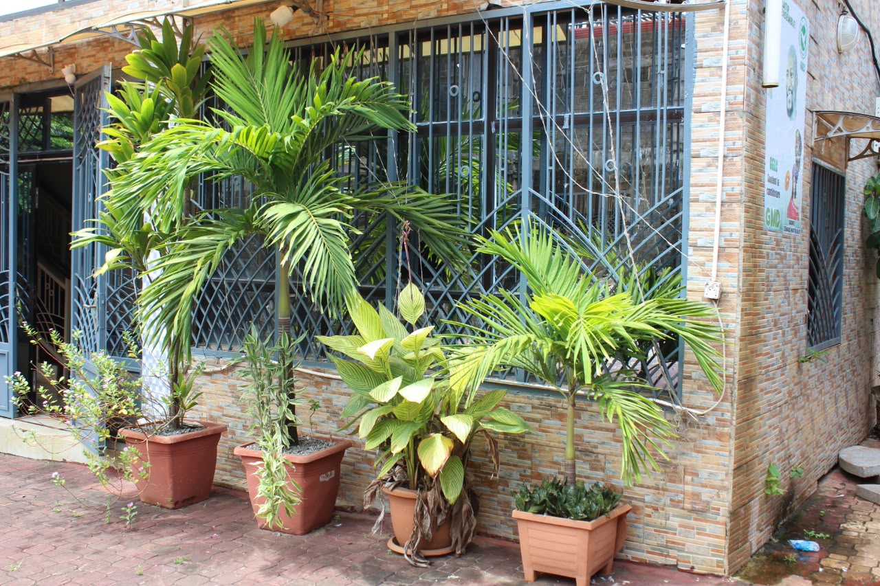 Jardin de l’hôtel
